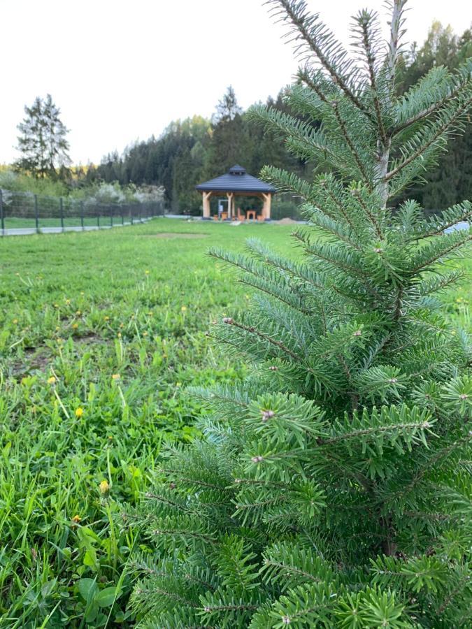 Dobre Miejsce Villa Niedzica Eksteriør billede