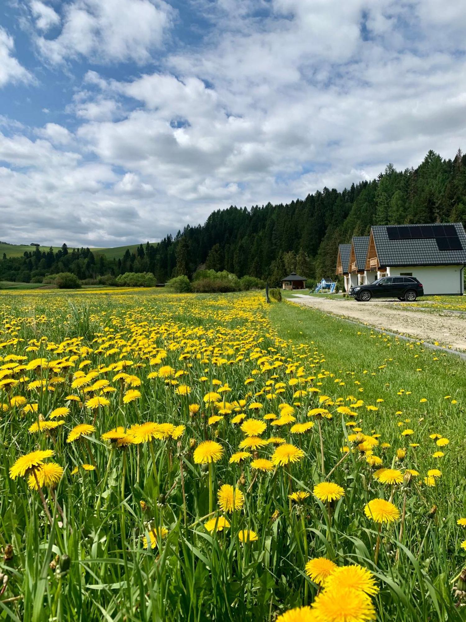 Dobre Miejsce Villa Niedzica Eksteriør billede